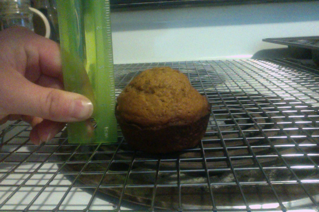 HELP! Muffins don't rise The Fresh Loaf
